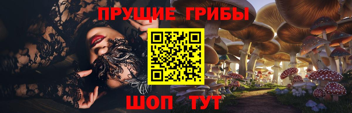 Лабинск  Галлюциногенные грибы Cubensis  Вход с VPN 